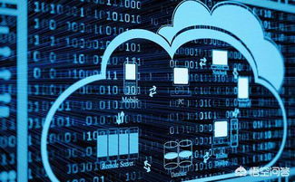 大专生就业前景分析 计算机网络技术与云计算技术与应用对比