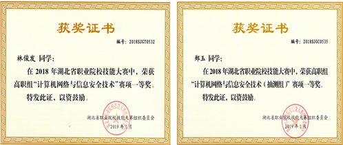 计算机网络技术 连接世界的无形脉络